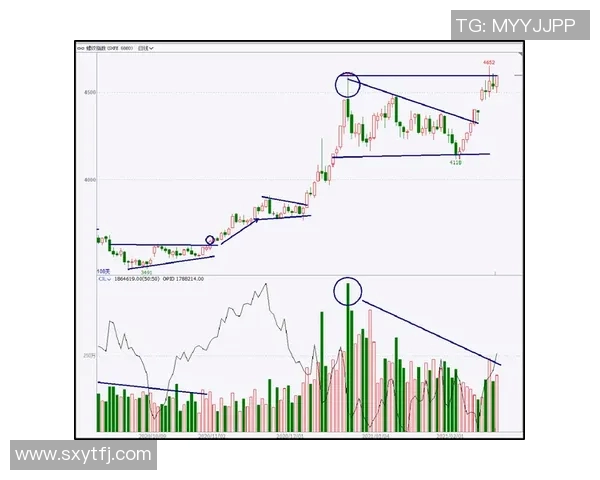 深入分析广州排球队运营模式与发展策略的热点解读 深入分析广州排球队运营模式与发展策略的热点解读