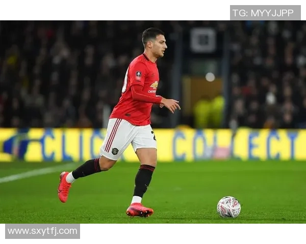 英超挑战赛中北京篮球队球员个人能力表现全面分析与点评 英超挑战赛中北京篮球队球员个人能力表现全面分析与点评