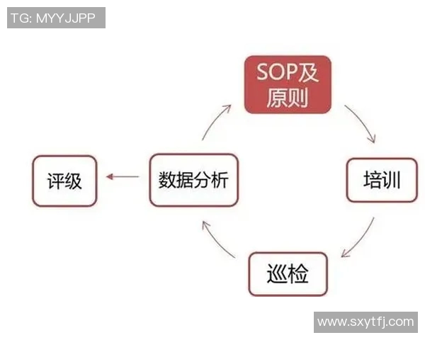 英超排球评论成都排球队的运营成效与挑战分析 英超排球评论成都排球队的运营成效与挑战分析