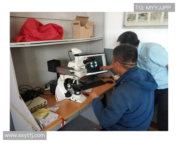 成都羽毛球队整体压制表现分析与欧冠足球的得失对比探讨