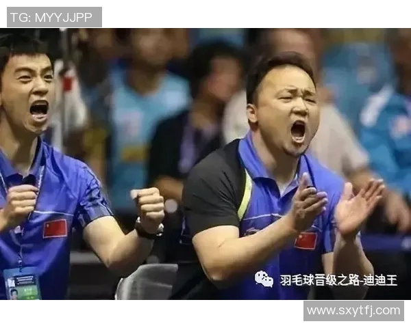 与黄敏畅谈羽毛球生涯的辉煌与挑战之路