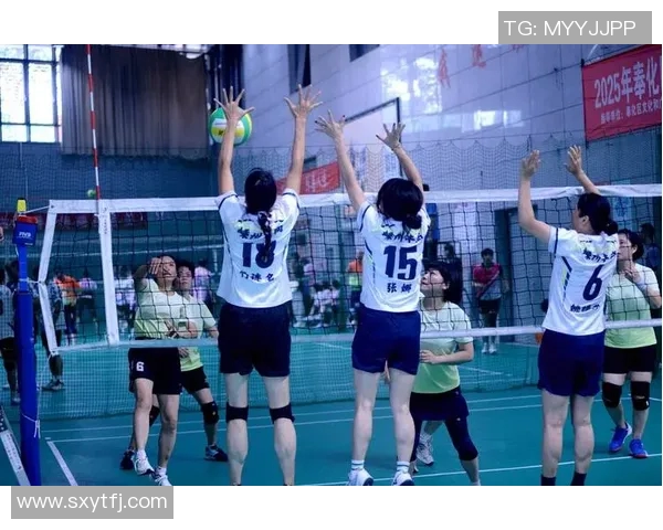 实时新闻排球比赛经验排行榜揭晓上海排球队荣获第九名成就辉煌 实时新闻排球比赛经验排行榜揭晓上海排球队荣获第九名成就辉煌